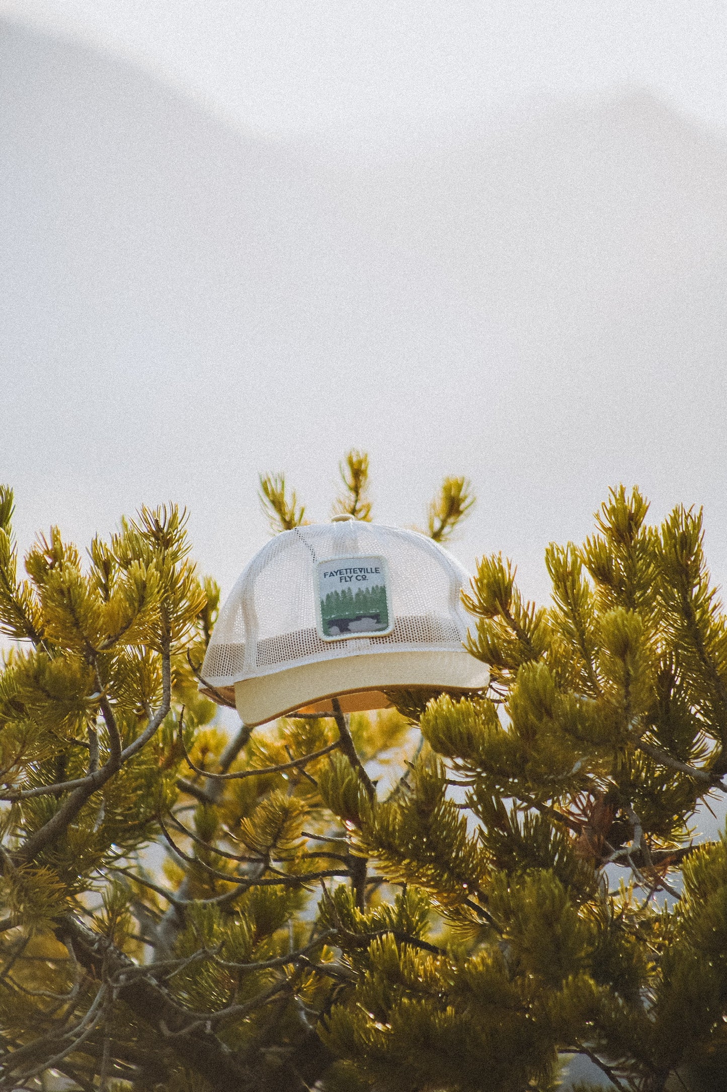 Mesh Woods Patch Hat